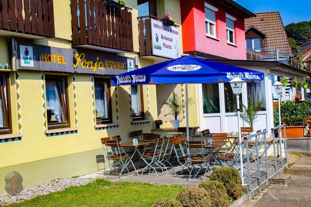 Hotel Sonja Bad Bellingen Exterior photo